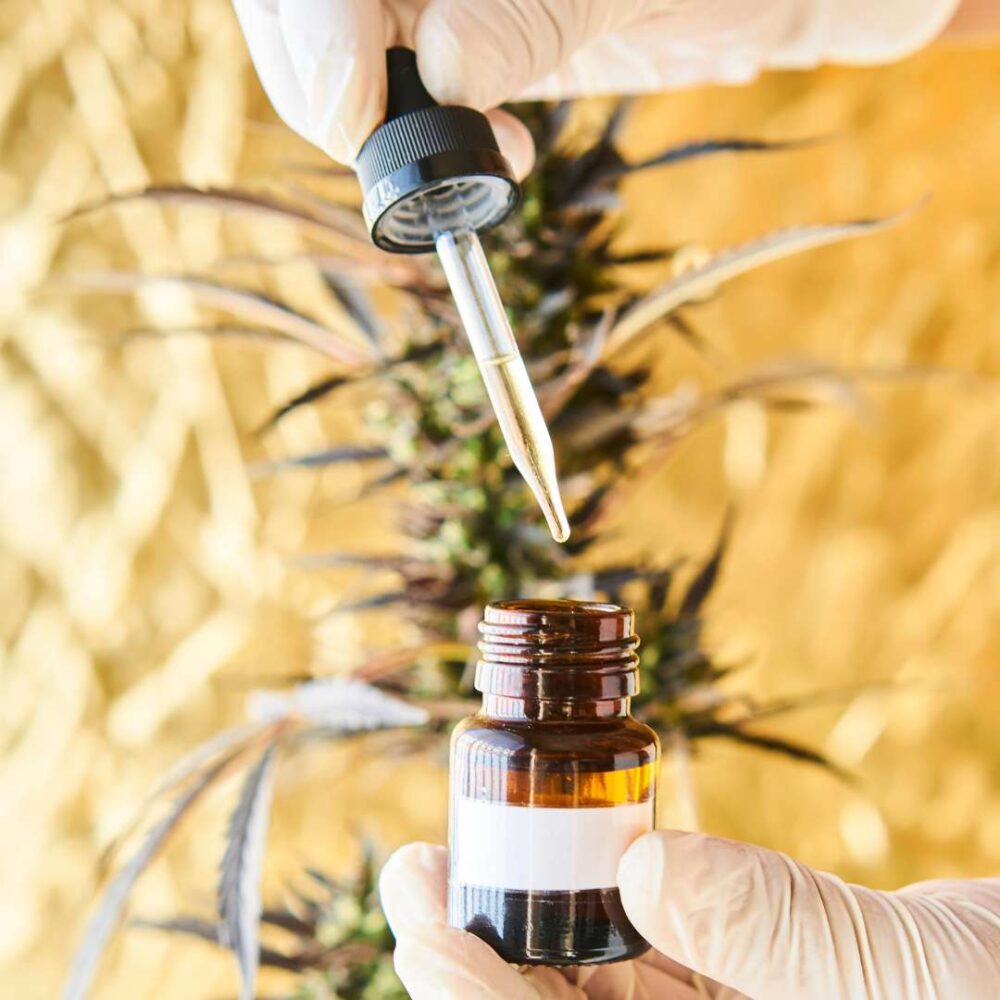 THCA vs CBDA - New Technology Unlocks Natural Cannabinoids