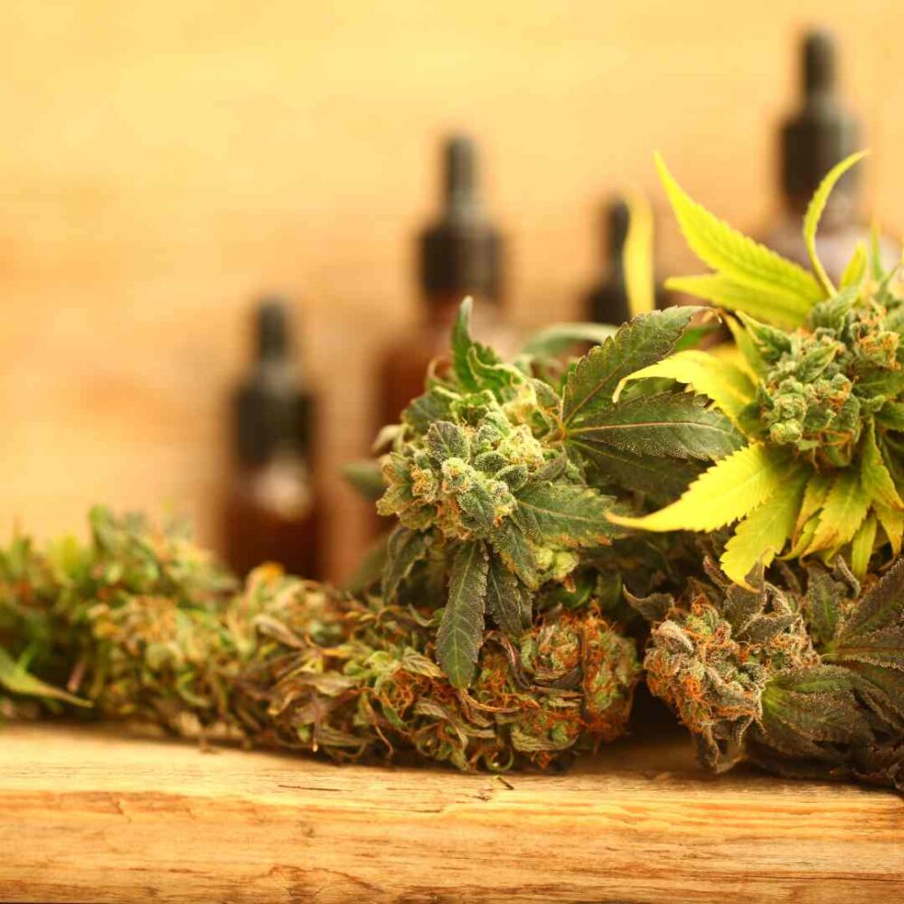 CBD Flower for Anxiety: Understanding the Potential Benefits and Side Effects