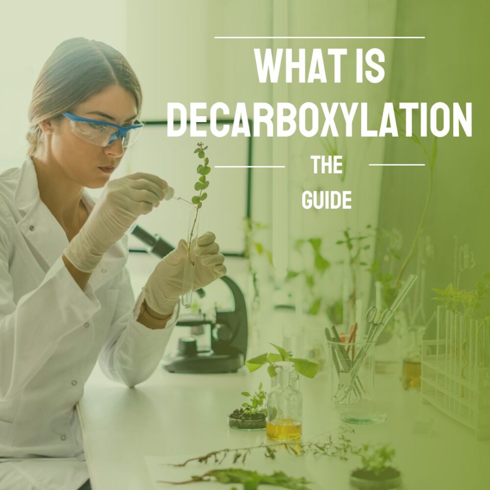 What Is Decarboxylation