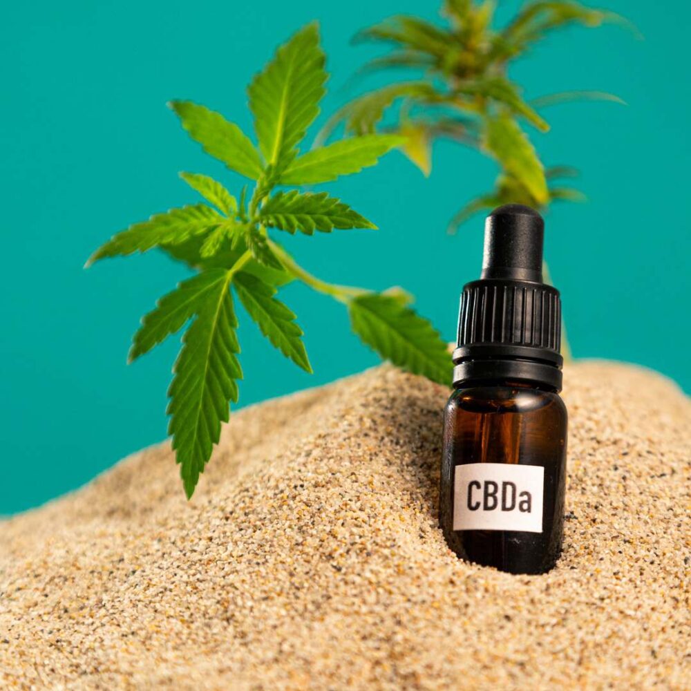 What Does CBDA Stand For? The Ultimate Guide to Understanding CBD's Lesser-Known Cousin