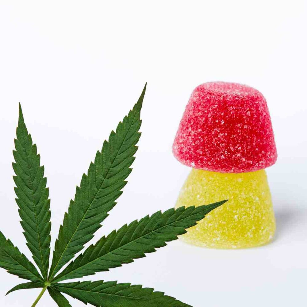 Can CBD Gummies Cause Anxiety? Unveiling the Truth Behind CBD and Anxiety Relief