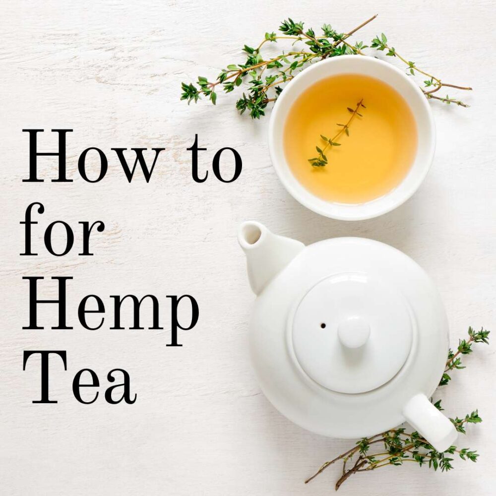 Hemp Tea - and the benefits of its acidic cannabinoid, CBDA