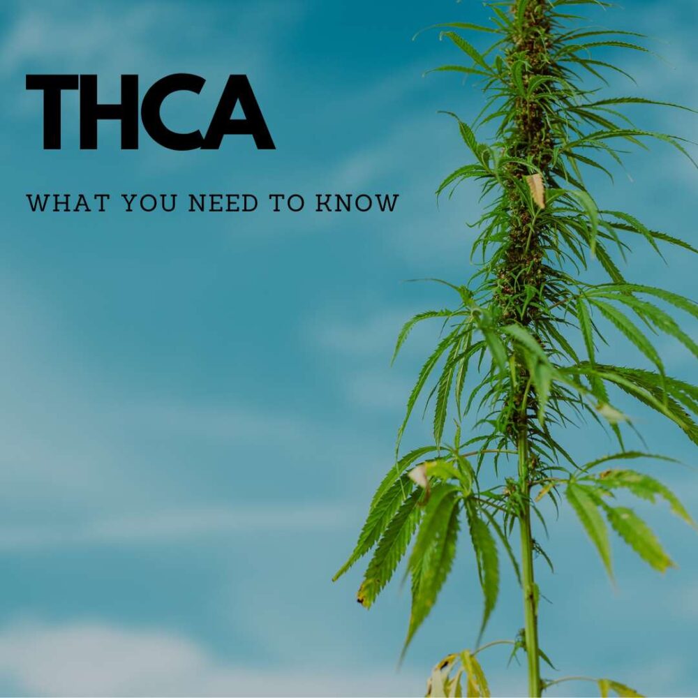 Does THCA get you high - The THCA Guide