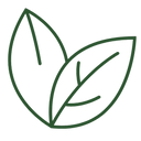 Same pathways, different mechanism