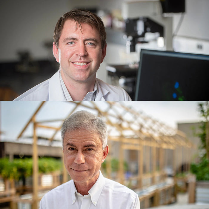 Dr. Colin Reily PhD (top) | Dr Luigi F Bertoli MD (bottom)