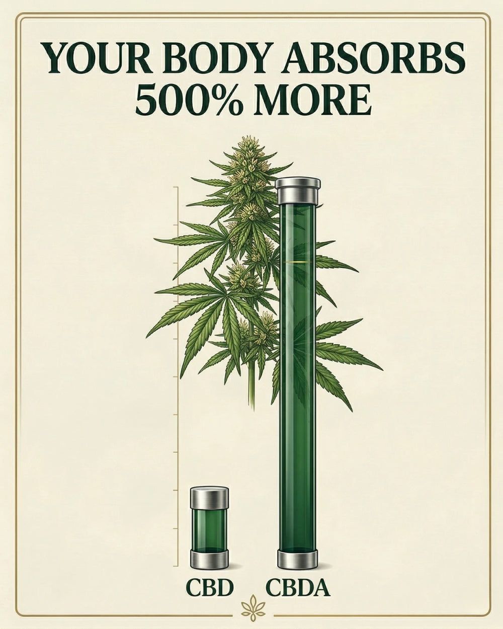 YOUR BODY ABSORBS 500% MORE