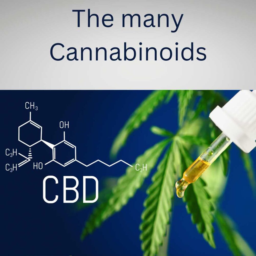 How many cannabinoids are in the cannabis plant? – Natural Dos